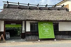 暖簾（のれん）・ 店舗幕のオーダーメイド